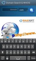 Domain Name Search Affiche