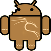Kali Linux Guide APK