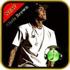 Best Chris Brown Top Song icono