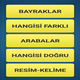 Bilgi Yarışmaları