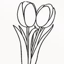 Tulip Coloring APK