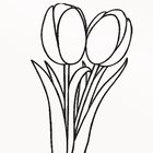 Tulip Coloring иконка
