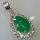 Kalung Liontin biểu tượng