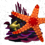 Potsi, ваша маленькая рыба