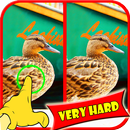 Trouver Duck Difference Game APK