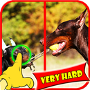 Trouver Difference Jeux Dog APK