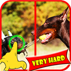 Find Difference Dog Games 2017 icon