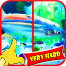 Find Difference Fish Games APK