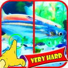 Find Difference Fish Games icon
