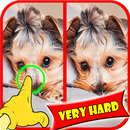 Find Difference Between Two Pictures Games-APK