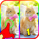 Free Find The Differences Pictures APK
