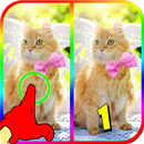 Gratis Zoek De Verschillen Pictures-APK