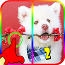 Spot 5 différences Photos jeu APK