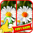 Trouver Différence Fleur Jeux APK