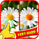 Find Difference Flower Games APK