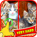 Find Difference Cat Games APK
