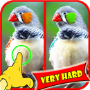 APK Find Difference Bird Games
