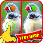 آیکون‌ Find Difference Bird Games