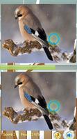 Trouver Difference d'oiseaux capture d'écran 2