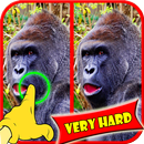 APK Find Difference Monkey Games