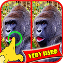 Trouver Différence MonkeyGames APK