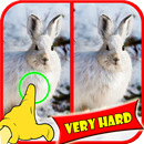 Trouver Difference Jeux lapin APK