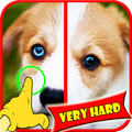 Cari Perbedaan Dog Game
