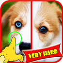 Trouver Difference Jeux Dog APK