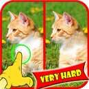 Find Difference Games APK