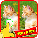 Trouver Jeux Difference APK