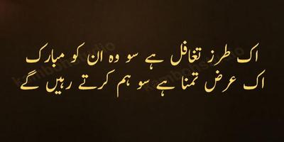 Faiz Ahmed Faiz Poetry screenshot 3