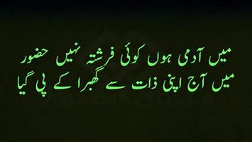 Saghar Siddiqui Poetry Ekran Görüntüsü 2