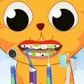 Crazy Pet Dentist