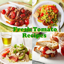 Fresh Tomato Recipes APK