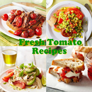 Recettes de tomates fraîches APK