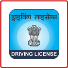 Driving License icône