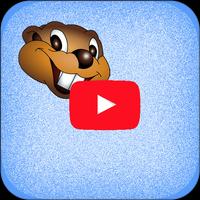 We are Busy Beavers Channel الملصق