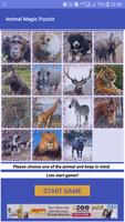Animal Magic Puzzle captura de pantalla 1
