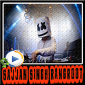 Fly - Marshmello