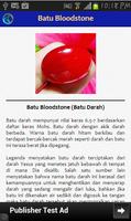 Batu Akik Populer 截图 3