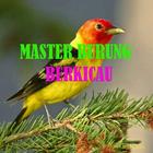 Master Burung ไอคอน