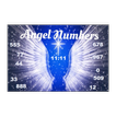 Angel Number Reader