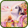 Krishna Shankh