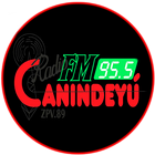 Red Canindeyu 95.5 MHz icône