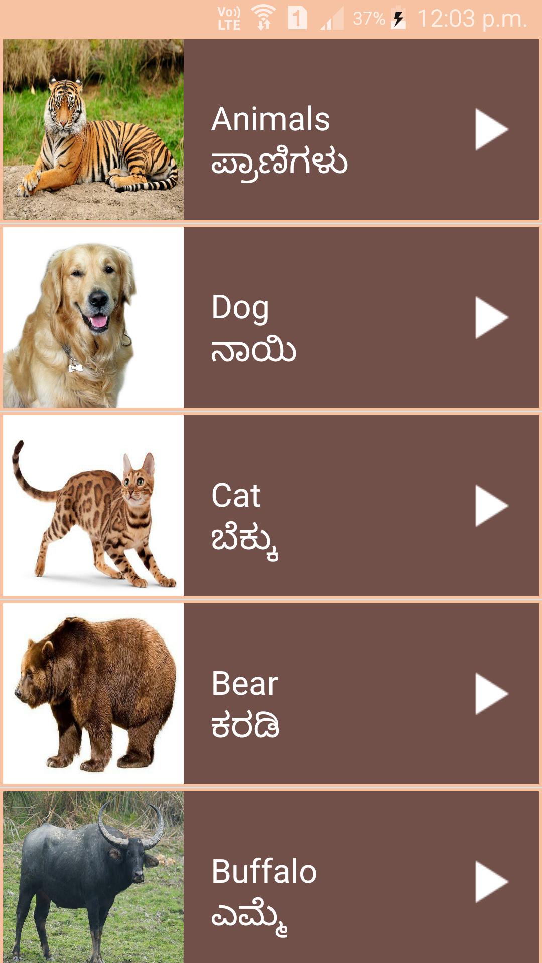 ดาวน์โหลด Learn English From Kannada APK สำหรับ Android ดาวน์โหลด Learn English From Kannada APK สำหรับ Android