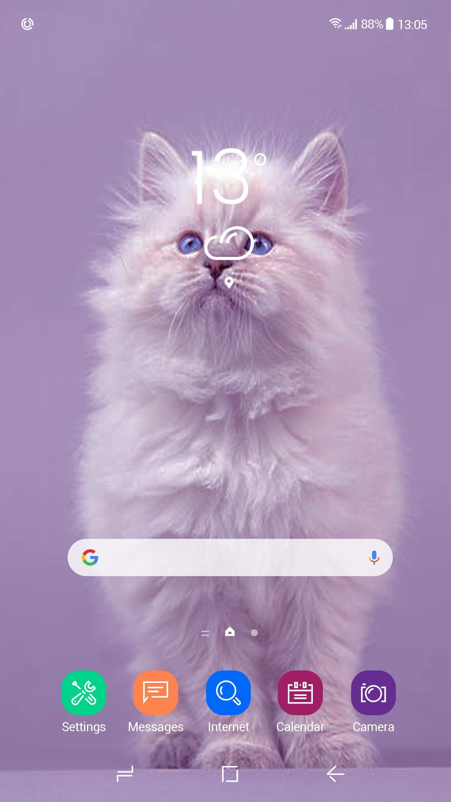 28 Wallpaper Anime Kucing Michi Wallpaper 28 Wallpaper Anime Kucing Michi Wallpaper