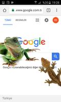 Lizard Screen On Phone اسکرین شاٹ 3