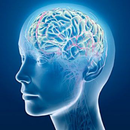 Mind Reader APK