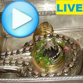 Kashi Vishwanath Live Darshan icon