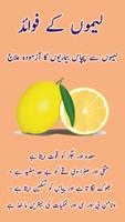 Poster Sabziyan Aur Sehat - Vegetables benefits to health